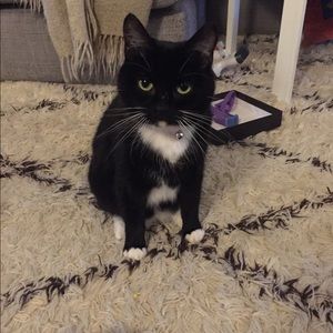 Meet your Posher, Holly